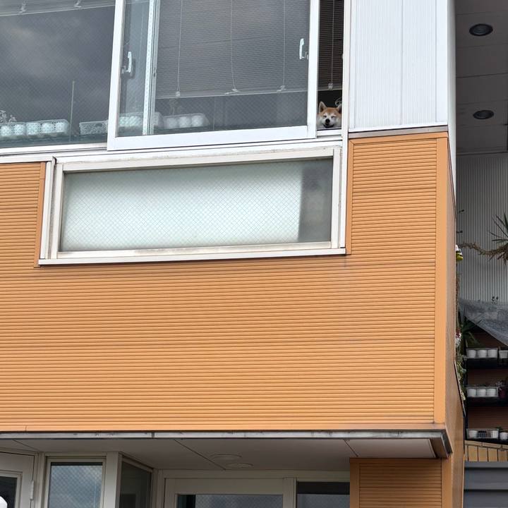 74741b63 5217 4188 9a9b 354fa9058e40 1752817428241