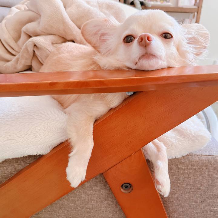 74743e5b 01c1 43dc bf94 181feac0879b 1656055479720