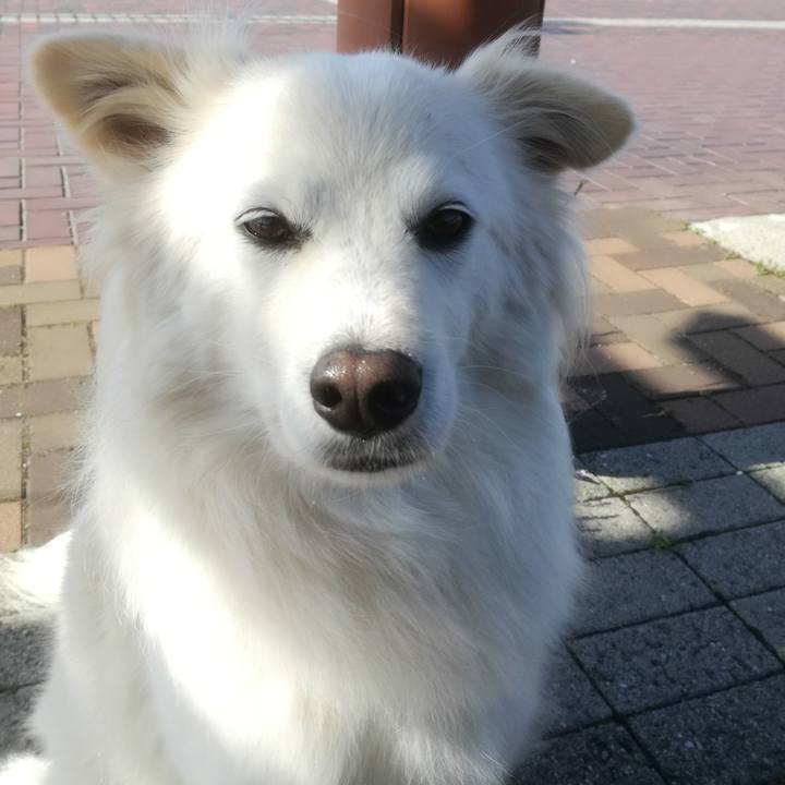 74745fb2 9a2c 48eb 8298 bd3ce2fc3957 1526006917411