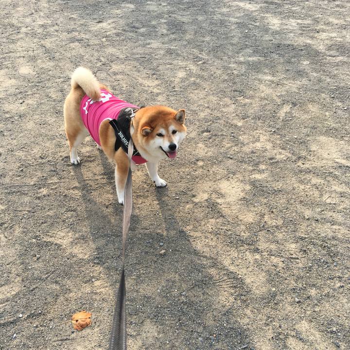 74748796 753a 41fb 9704 ddd8081bb869 1597616088109