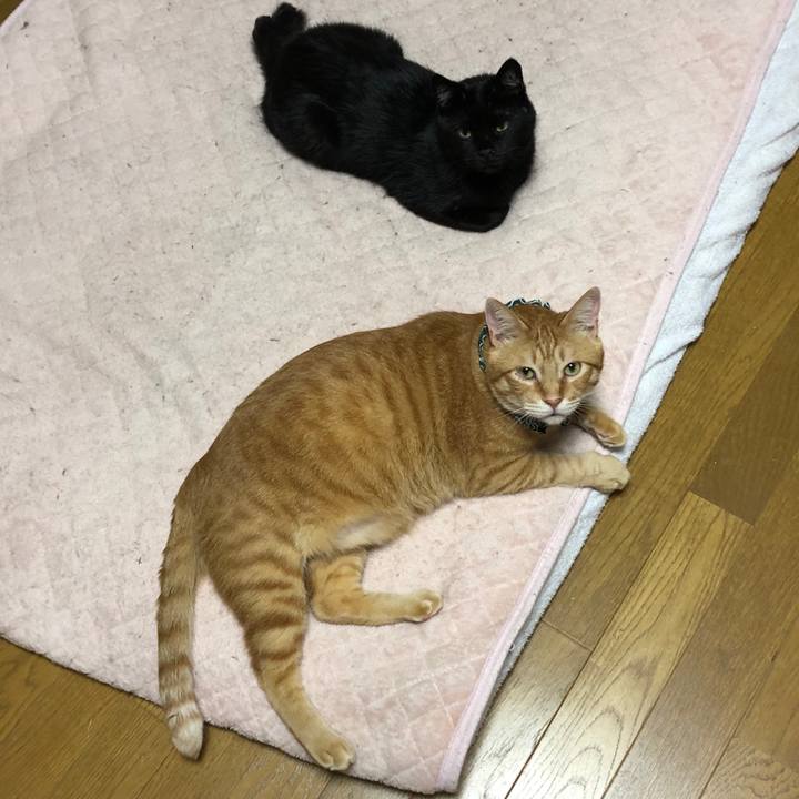 747487bc 1bc0 4129 a3e1 c9578d441eac 1561202837127