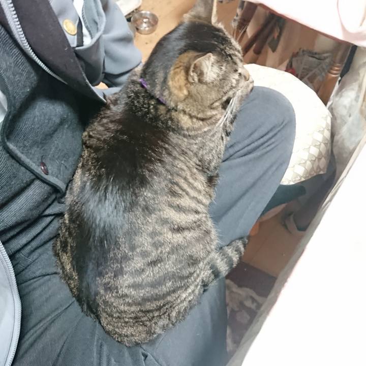 747503a4 6ec5 4cc8 b70f fd783fbb76de 1650324246793