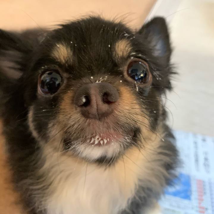 74750838 7c55 4000 b36b 5f3f8f706fe9 1591651708222