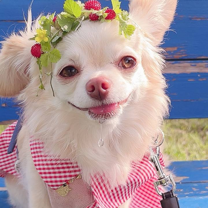 74751d3d e86e 4b69 828b c92706fb9514 1717852062474