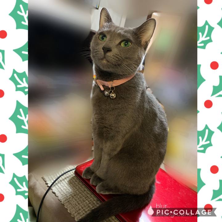 7475220e e39c 4497 9162 d4dc352f1a94 1576630215904