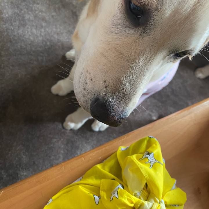 74754664 a930 4b1f b335 8bf84f97416a 1620431965281