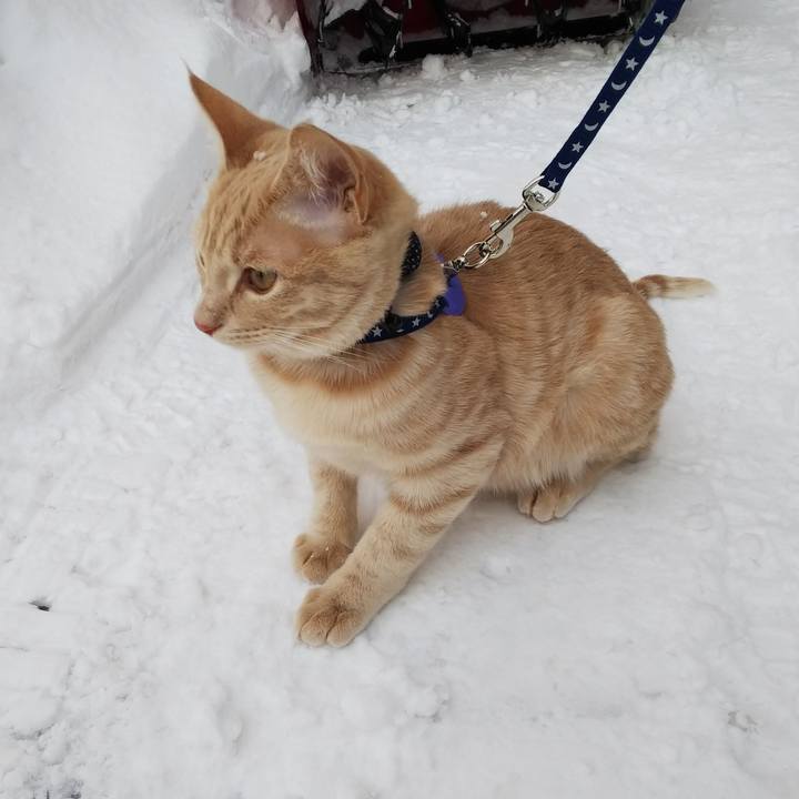 7475601d 5cb2 4613 b0f7 11005b53b3c1 1546737393754