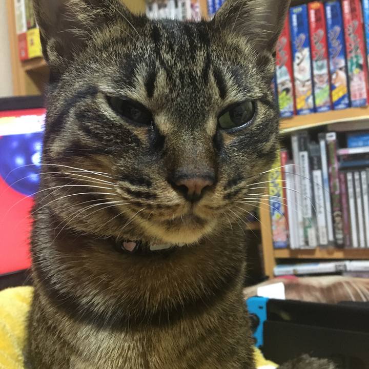 74758e86 768e 43e5 a637 0da592a1093a 1582327691532