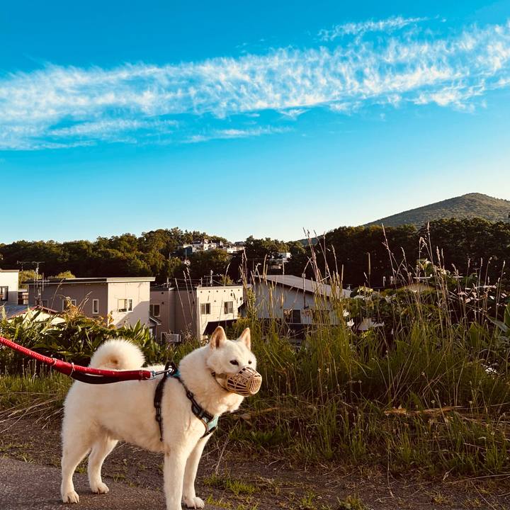 74759053 a0e8 41b2 8d0d ae588f1734d2 1751922894013