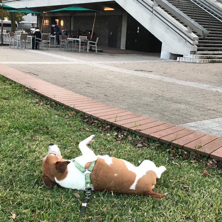 7475a82d 774a 454c 9d5e c21db08ef178 1509177138874