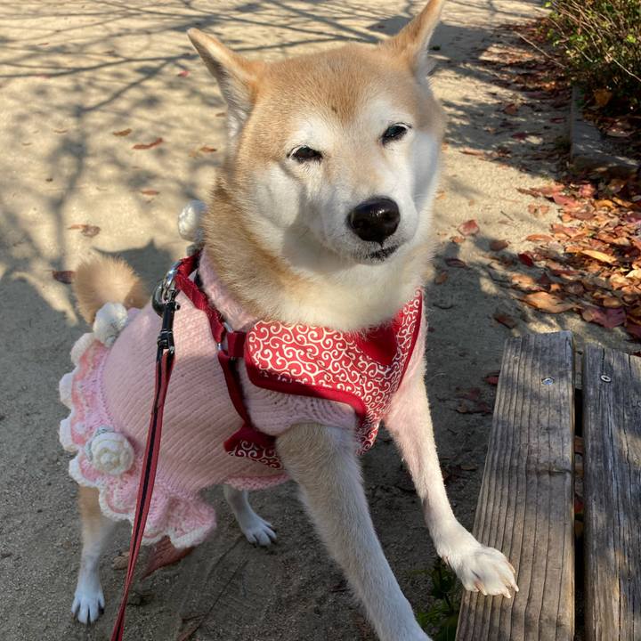 7475b68e 47e0 4df5 8e64 2f9ec6f04927 1639579235058