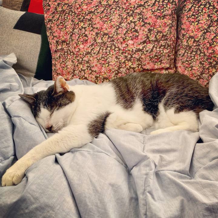 7475d23d 426b 4503 b6a4 0ab36d67a80a 1614663981759