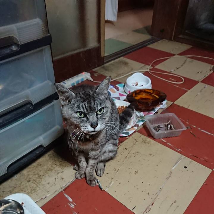 7475d753 f7cd 4dd9 9db4 cf78cf6f2a53 1594331179197