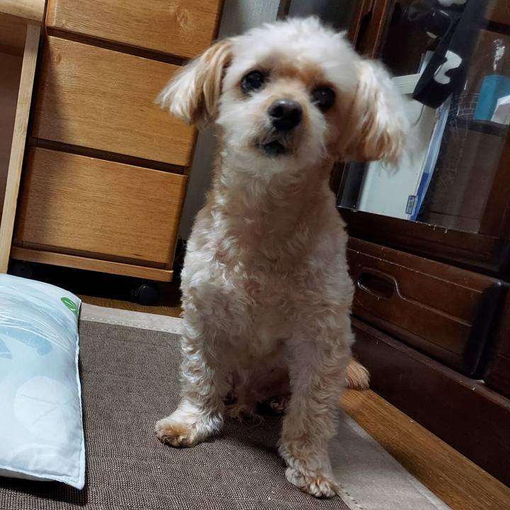 7475eb46 62b2 443c 8dd1 3644a0ae2505 1760587189423