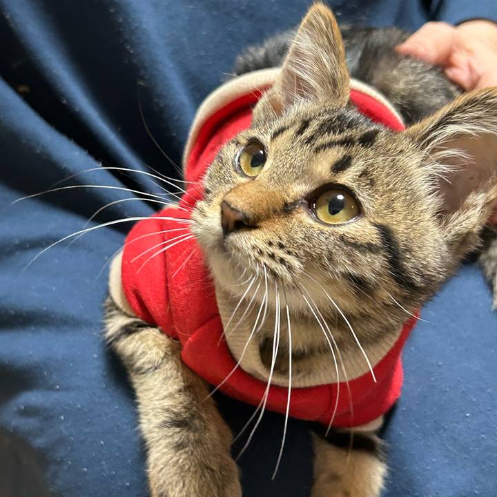 7475f154 fcd9 4b51 9c84 8b2f8fa82884 1730200549138