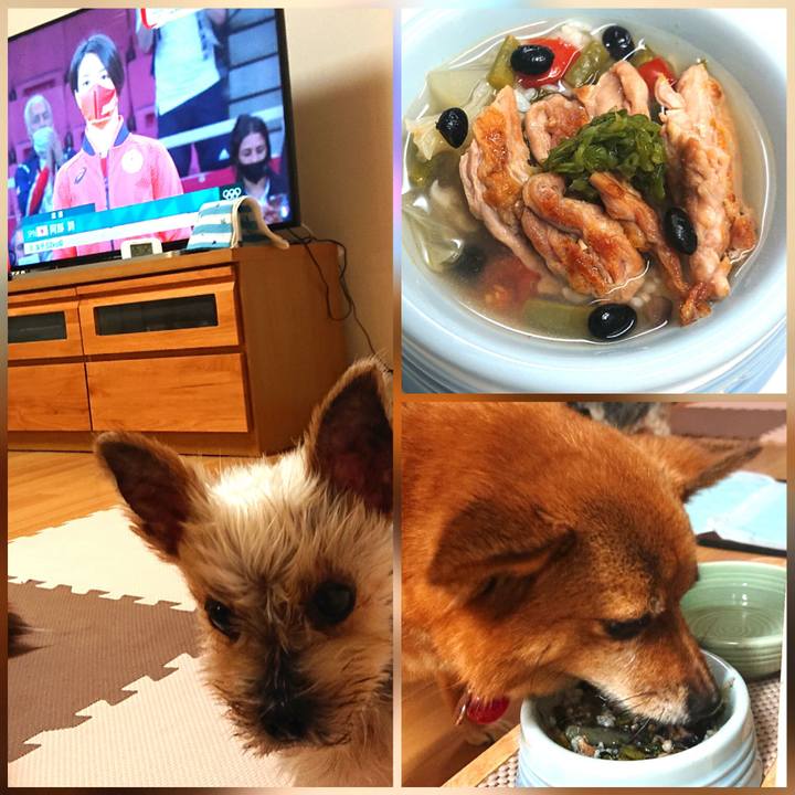 74761ed6 27b8 4229 a512 d33e06c21f55 1627210825196