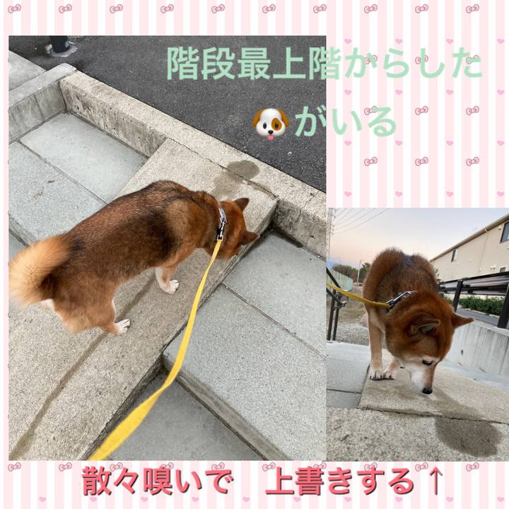 74765438 103f 47fe bb4c 67c84d71c677 1640420515639