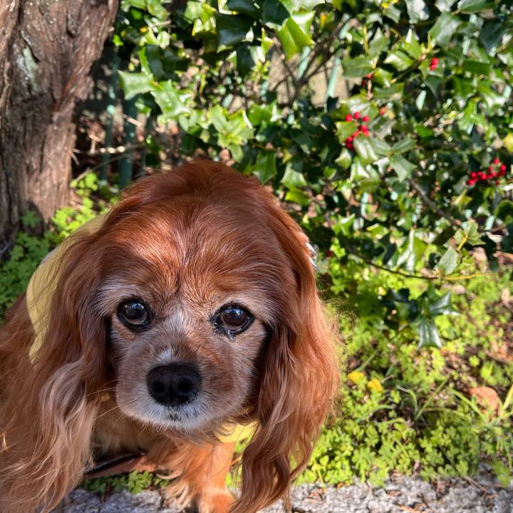 74769fdc dfe1 4086 8758 ece20e284bed 1767746521538