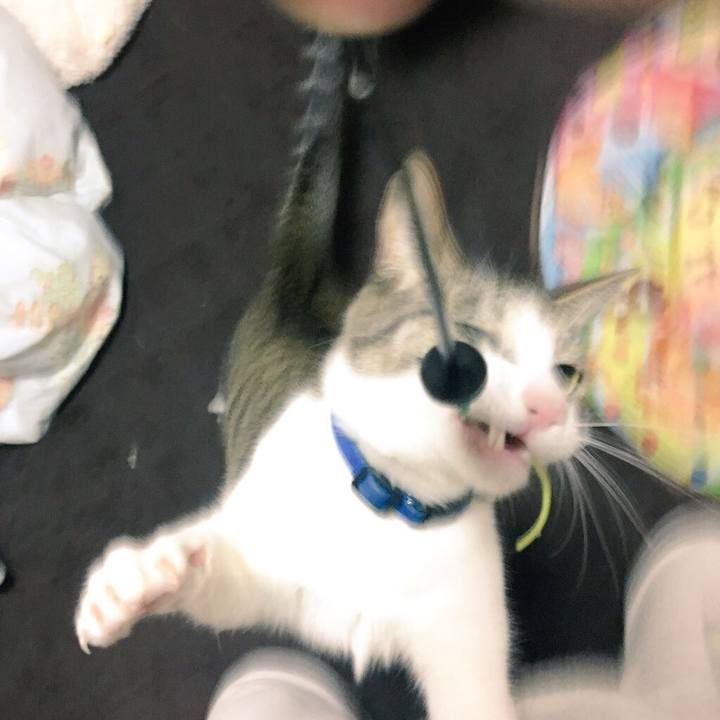 7476bd2d 56ef 42fb a7ad 8b2410515b2c 1517023575682