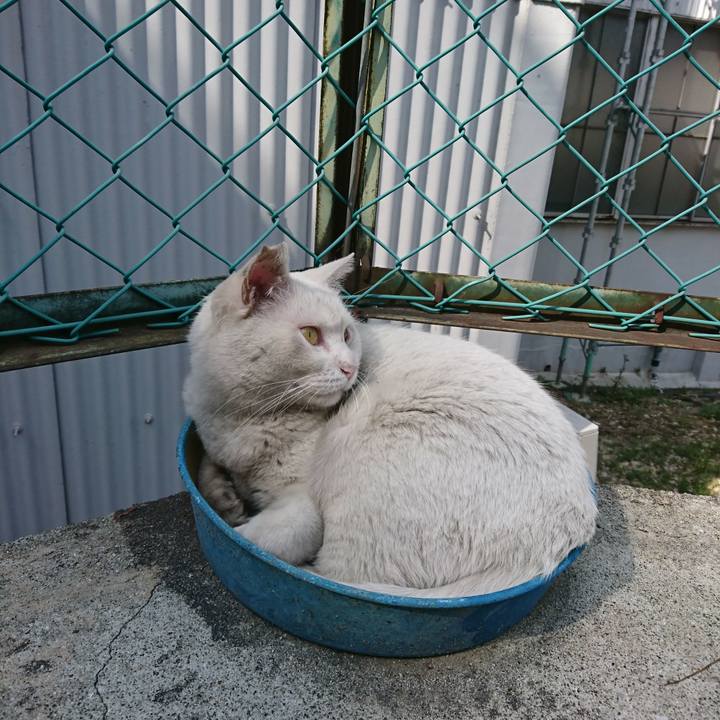 7476c767 1d4f 4a8e 8ba7 c988db82d495 1521091431336