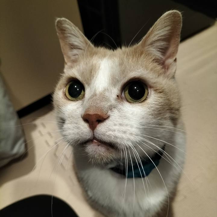 7476cc83 e0cc 40f6 ab8e fa8b49a42f0a 1641511471858