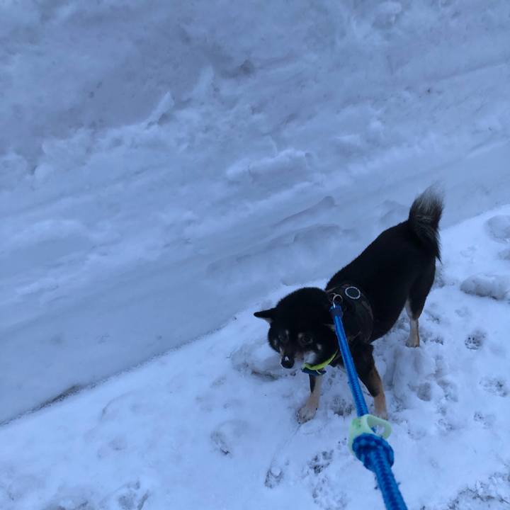 7476d904 3bad 40ae 9631 726a20caa8f0 1551005724356