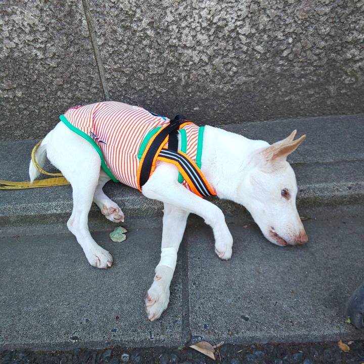 74774e86 0ebb 4234 a538 868553402e9a 1591488175525