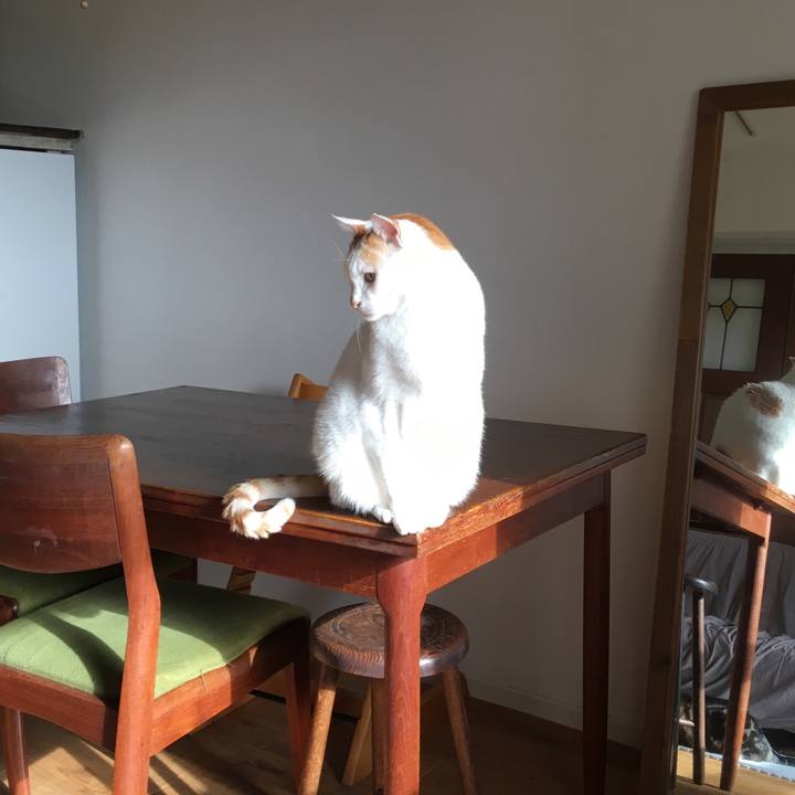 74775bf0 d591 45aa 9e6a 20d45d28d9e6 1544230844745