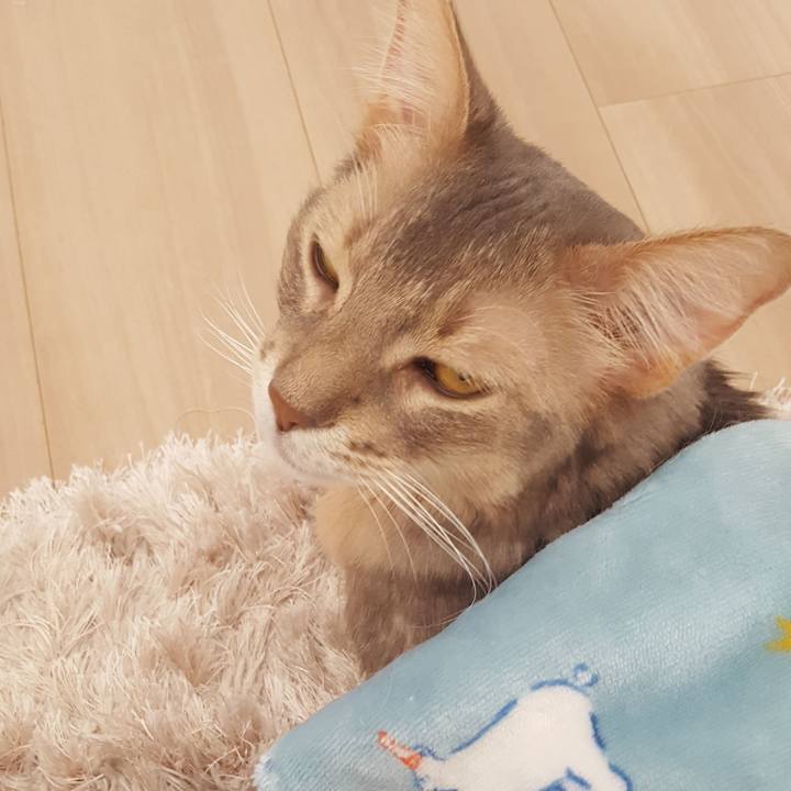 747783a0 9e11 4e5f 8318 4709f80cc1c3 1581381780809