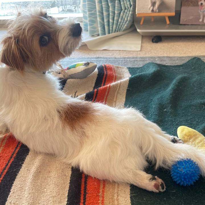 7477d3da fb29 49c9 aada 94c67263bab1 1771755858494