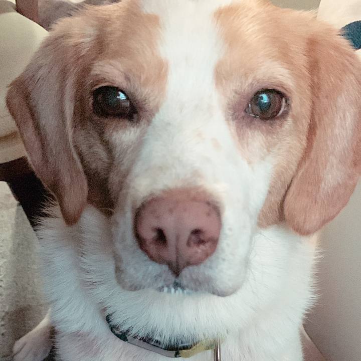 7477d40b 478d 4edc 9142 074d0199cadf 1702089656517