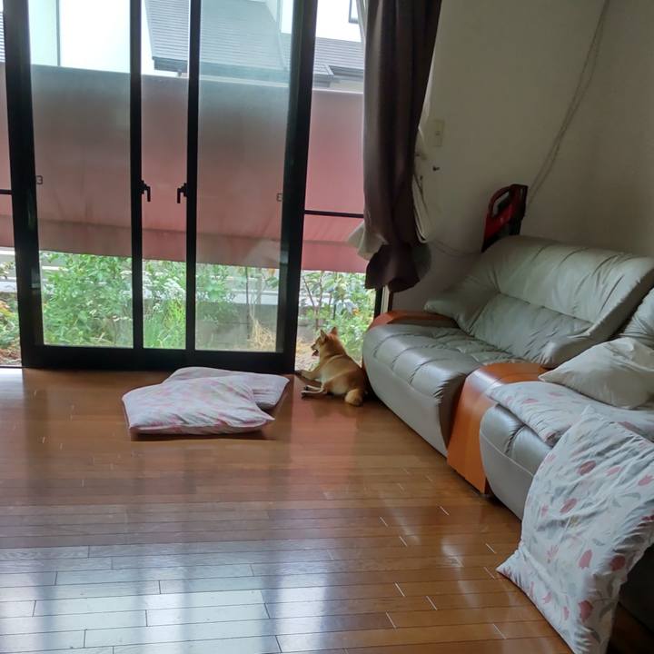 7477f078 05f8 467a 8ccb 13f206a5ba4a 1662849233218