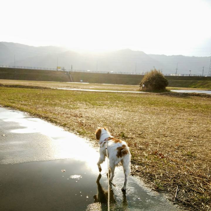 74783a7c 51ce 4840 af91 698293d38c21 1552435026832