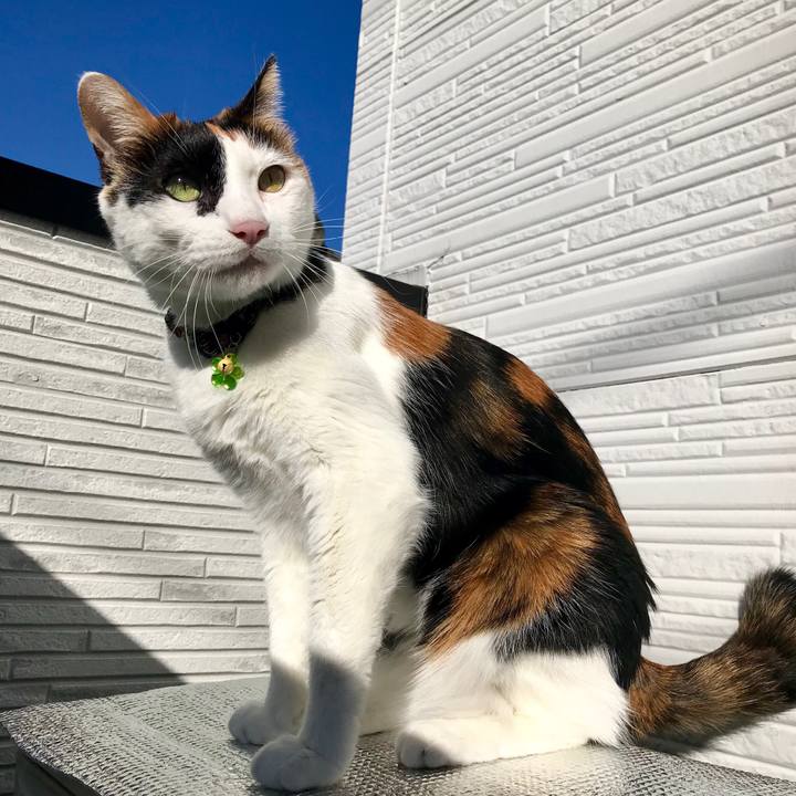 7478bd88 91de 4722 9400 9ddb5db70965 1542242570512