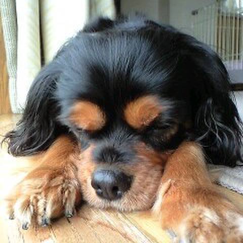 7478e425 33ee 49f3 a098 b73e71a0426d 1549267446325