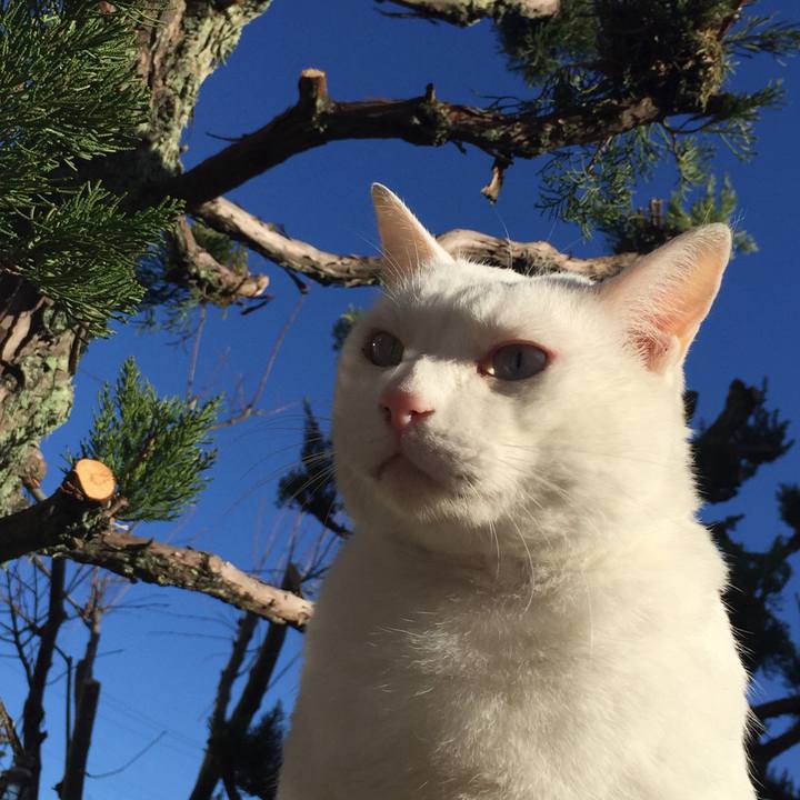 7478ff86 e49c 4762 b7fa 46e948c41228 1545627747336