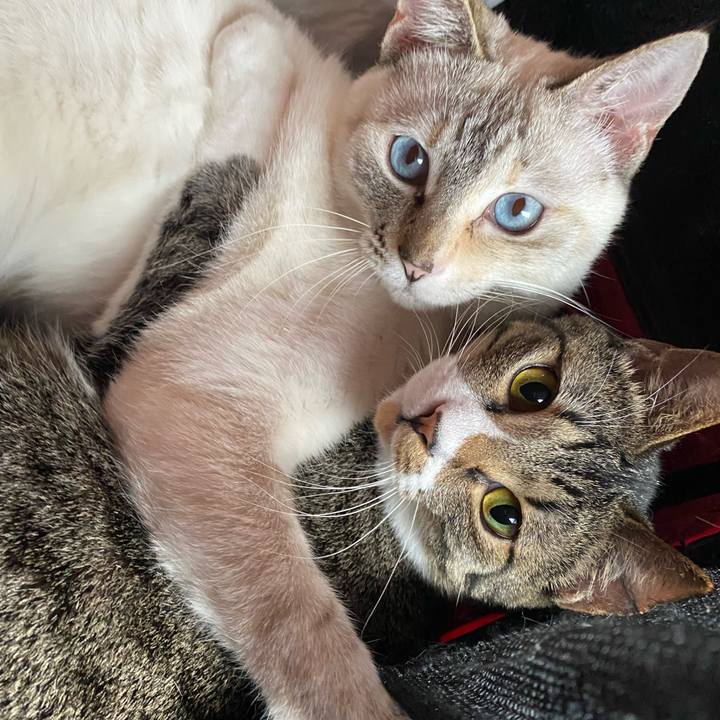 747918b6 b749 41ba 9925 1f554304bcf0 1648433045942