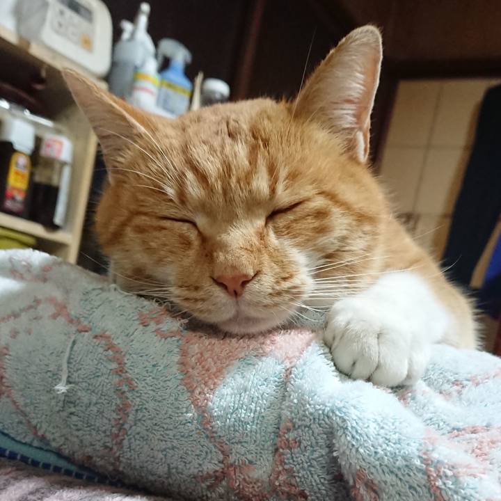 74791bcb 7c84 451b 9334 5f3fd9fdbeef 1606812762400