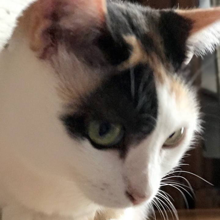 74796945 6535 457d 8e8d e35376beefaa 1537584508845