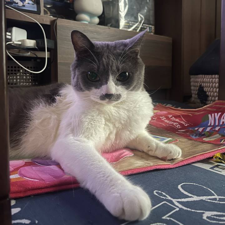 7479b754 c41a 4286 b419 973270a90cea 1695159284697