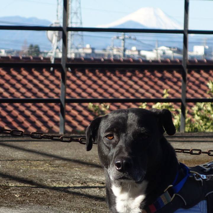 747a17d2 ac5a 4093 a850 290241c8cda1 1643605863785