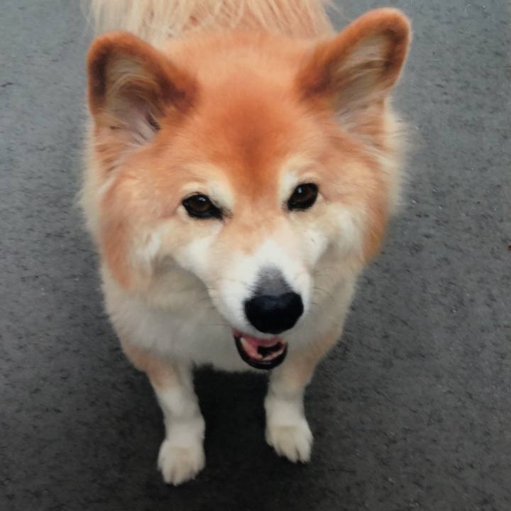 747a247e e186 4863 839c 762a4a5d69bc 1515593354678