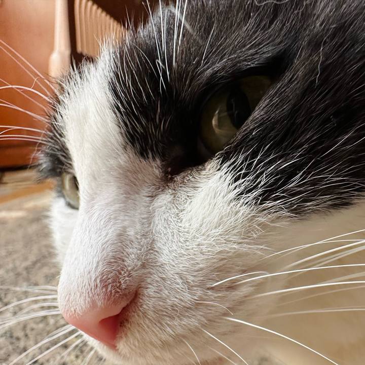 747a300b fa29 4a68 895f 71db39726065 1725672634054