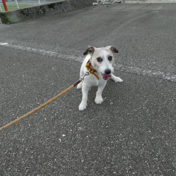 747a31d8 ba15 4bc0 89c9 b707d0e50087 1595241921116