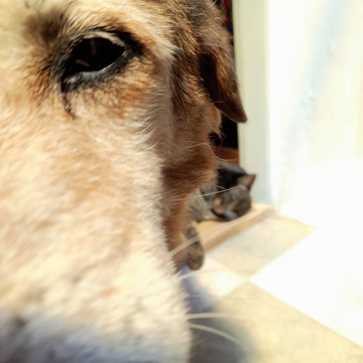 747a370f 8e0f 420e b7bd b0154c748485 1772383546916