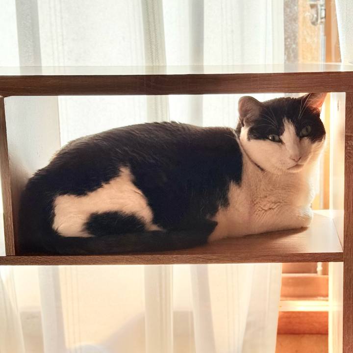 747ac35f c20a 47f1 9432 2dd80d124069 1772931263922