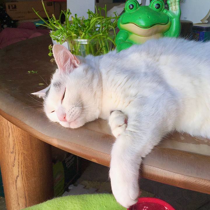 747b114c c212 44a2 a3a7 07b577f248c8 1590809070168