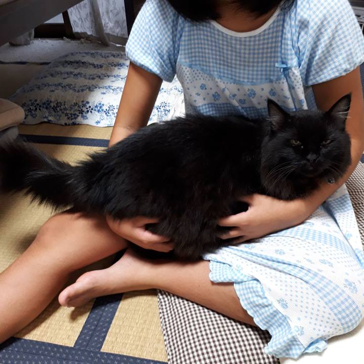 747b24ad d9a8 46b2 9c04 70a5bbba5ddf 1536358172774