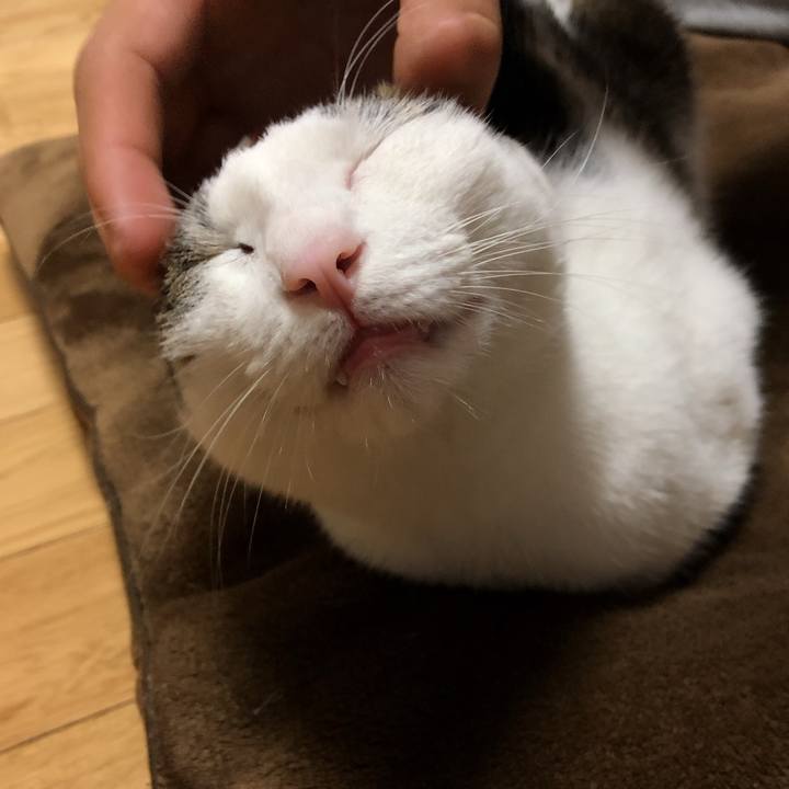 747b53a9 f6f3 492b a555 e7a5b49bc9f3 1602197276924