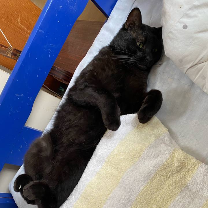 747b5e15 4ffa 400a 9e50 9edde93df66b 1686380609812